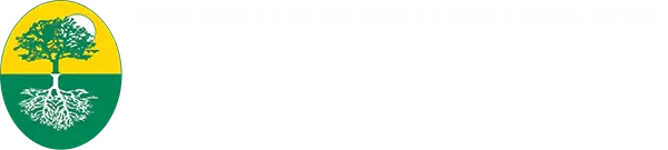 Regenesys Business School