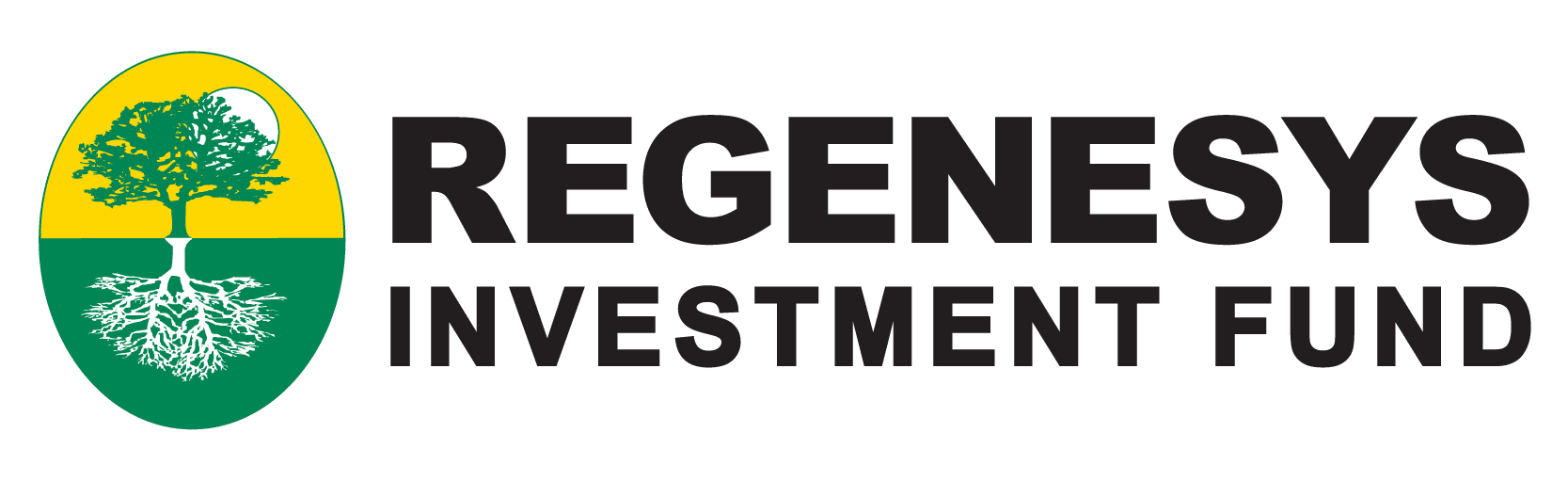 Regenesys_Investment_Fund_Logo_B